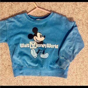 2T Disney World Stonewashed Crewneck